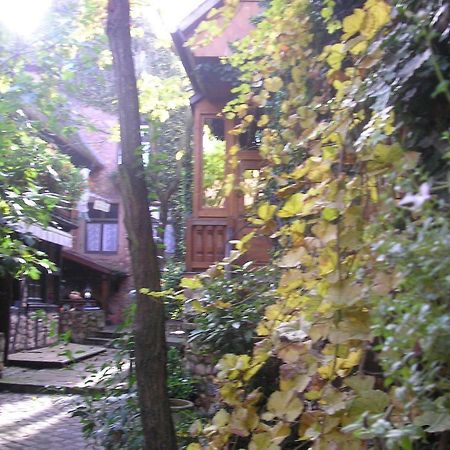 Gite Le Riesling Bergheim Ngoại thất bức ảnh